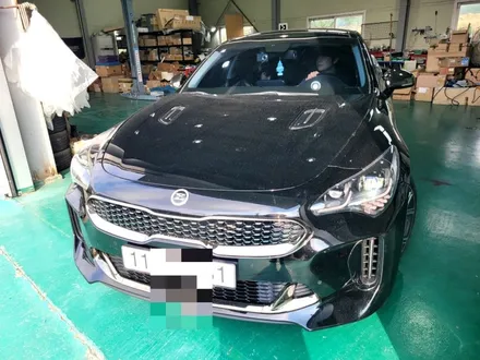 스팅어 17년식에 중고 마이스터 플래티넘 램프 교체 시공 / 인천 계양