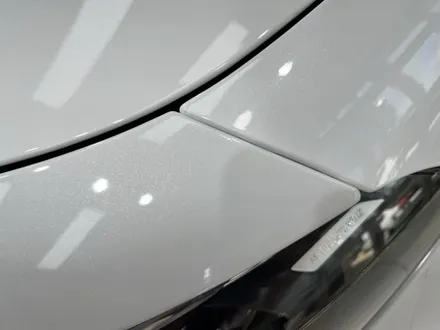 포항PPF 벤츠 A45 AMG 본넷, 부분 PPF / 포항, 경주