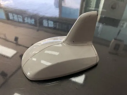 포항 경주 자동차랩핑 제거 후 전체랩핑 벤츠 S350 흰색에서 검정으로! / 포항, 경주