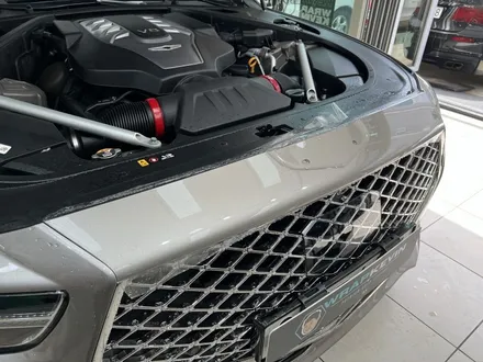 포항PPF 경주PPF 제네시스 G90 헤드라이트, 앞범퍼 부분PPF / 포항, 경주