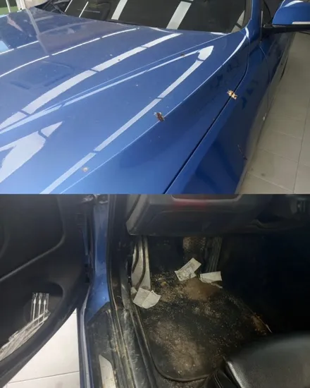 [오늘도 빛나는 내차] 디테일 스팀세차 | 테슬라 | BMW | 기아레이 | 디테일링세차 (+비교샷) / 경기 양주