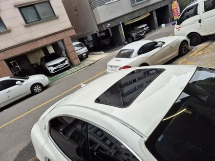 안산 루프스킨 \