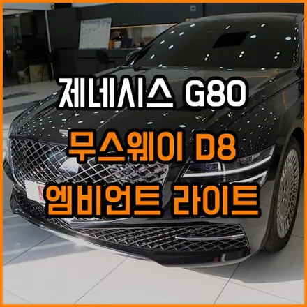 제네시스 사운드튜닝과 엠비언트라이트 시공 / 창원,마산,경남