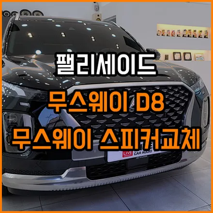 크렐 옵션 장착된 팰리세이드 부족한 사운드는 무스웨이로 부터~ / 창원,마산,경남