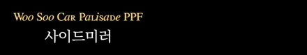 전북 팰리세이드 차량보호필름 PPF 시공 / 김제시 요촌동