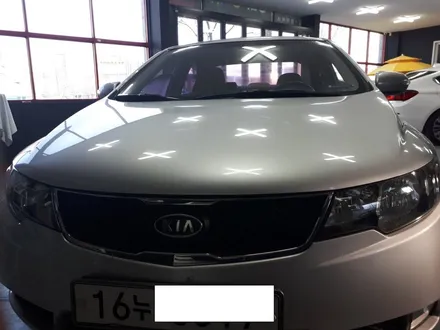 기아 포르테썬팅Custom M- 대구썬팅잘하는곳 / 대구 동구 용계동
