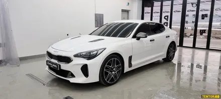 기아_스팅어[부분랩핑, 필러PPF][Stek Dyno Shield]세종PPF/대전PPF전문점/청주PPF잘하는곳/천안PPF/공주PPF/논산PPF / 세종 장군면