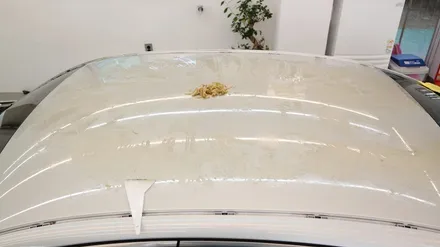 제네시스BH[루프스킨]이게 머선129....세상에 영원한건없다...[에이버리 유광블랙] / 세종 장군면