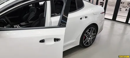 기아_스팅어[부분랩핑, 필러PPF][Stek Dyno Shield]세종PPF/대전PPF전문점/청주PPF잘하는곳/천안PPF/공주PPF/논산PPF / 세종 장군면