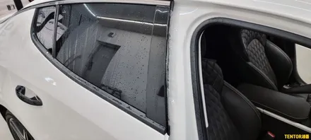 기아_스팅어[부분랩핑, 필러PPF][Stek Dyno Shield]세종PPF/대전PPF전문점/청주PPF잘하는곳/천안PPF/공주PPF/논산PPF / 세종 장군면