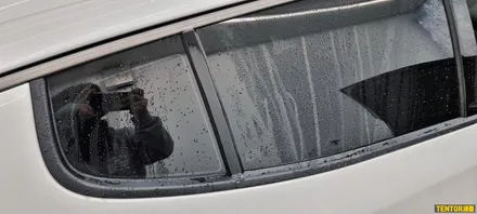 기아_스팅어[부분랩핑, 필러PPF][Stek Dyno Shield]세종PPF/대전PPF전문점/청주PPF잘하는곳/천안PPF/공주PPF/논산PPF / 세종 장군면