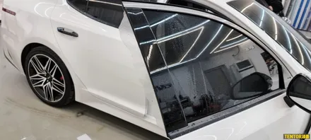 기아_스팅어[부분랩핑, 필러PPF][Stek Dyno Shield]세종PPF/대전PPF전문점/청주PPF잘하는곳/천안PPF/공주PPF/논산PPF / 세종 장군면