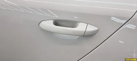 기아_스팅어[부분랩핑, 필러PPF][Stek Dyno Shield]세종PPF/대전PPF전문점/청주PPF잘하는곳/천안PPF/공주PPF/논산PPF / 세종 장군면