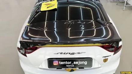 기아_스팅어[카본랩핑][3M 리얼카본, 2080 유광블랙]세종랩핑견적/대전랩핑견적/청주랩핑견적/천안랩핑견적/공주랩핑견적/논산랩핑견적 / 세종 장군면