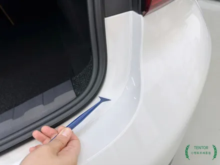BMW_320i[전체PPF]Ultrafit 울트라핏, 크리스탈XP]세종PPF추천/대전PPF추천/청주PPF추천/천안PPF추천/공주PPF추천 / 세종 장군면