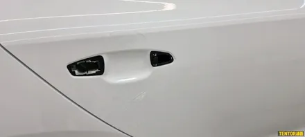 기아_스팅어[부분랩핑, 필러PPF][Stek Dyno Shield]세종PPF/대전PPF전문점/청주PPF잘하는곳/천안PPF/공주PPF/논산PPF / 세종 장군면