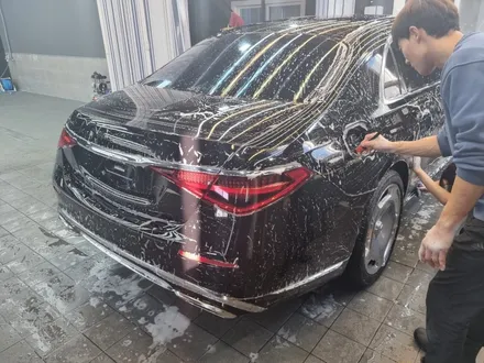 벤츠 마이바흐 전체PPF S580PPF 맛집은 여기네 / 일산, 고양 백마