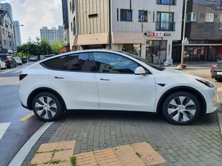 테슬라 모델Y 썬팅 / 하남 망월동