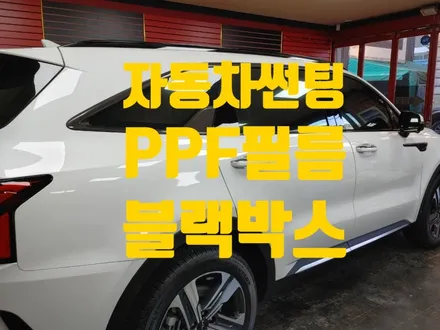 자동차썬팅 가격 추천 종류 PPF 생활보호필름(MQ4쏘렌토 신차패키지) / 인천 청라동
