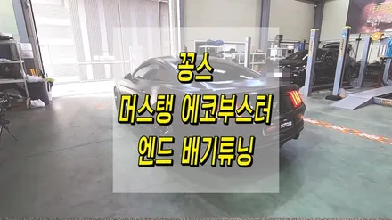 머슬카의 진수! 머스탱 에코부스터 엔드 배기튜닝 / 인천 동구
