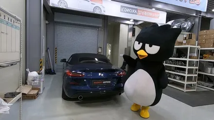 [BMW Z4 20i] 커스텀풀배기 / 인천 동구