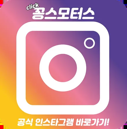 가장 기본이되는 드레스업튜닝, 듀얼팁튜닝으로 파사트 드레스업튜닝 / 인천 동구