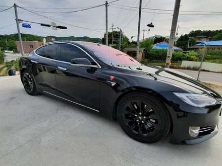 테슬라 / 원주시 소초면