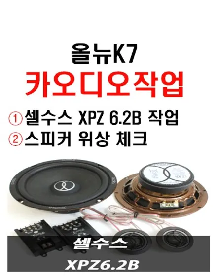 울산카오디오 셀수스 스피커 작업