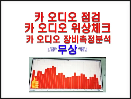 울산카오디오 올뉴카니발 서브우퍼 2발 장착