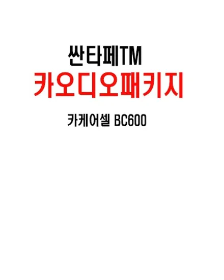 울산카오디오 / 카오디오는 전기가 중요하다 정답은 카 케어셀 BC600