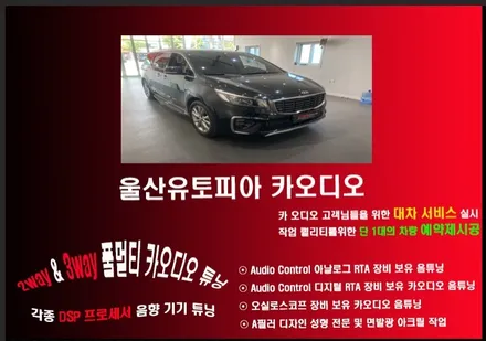 울산카니발천정모니터작업 + 보조모니터 + 실내무드등