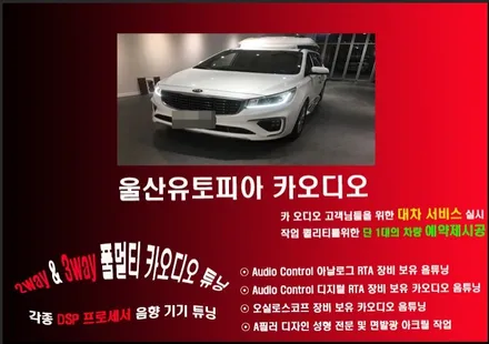 올뉴카니발 XM 천정모니터 17인치 + 12.3인치 보조모니터 + 실내무드등 풀셋트 장착