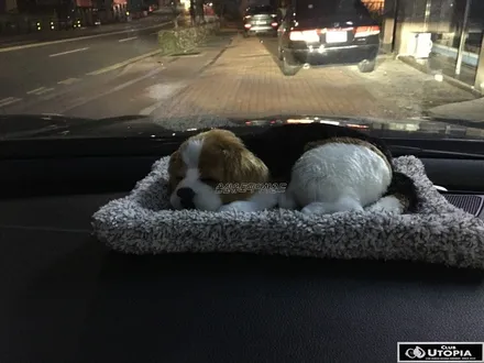 울산카오디오 / 2019.7월 카오디오 청음 모임