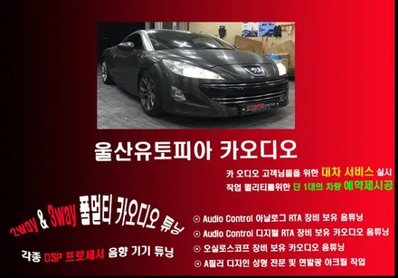 울산푸조카오디오 / JBL 스피커 교환 .. Bass 보강을위한 서브우퍼      추가 작업
