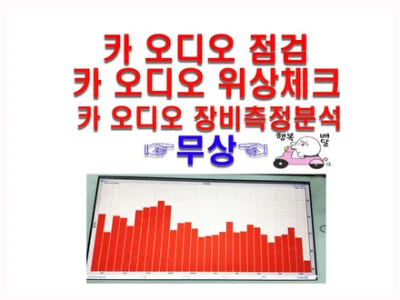 울산K9스피커작업 / 핸드메이드 USA CDT 스피커 유로스포츠버전