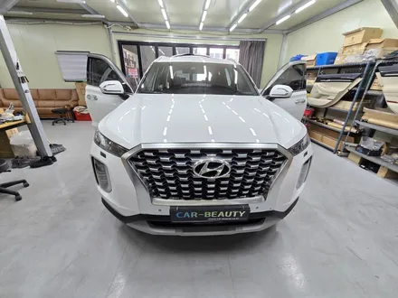 펠리세이드 순정활성화엠비언트 비노출엠비언트 시공은 완벽한 가공으로 시공하는곳에서 / 대구, 구미