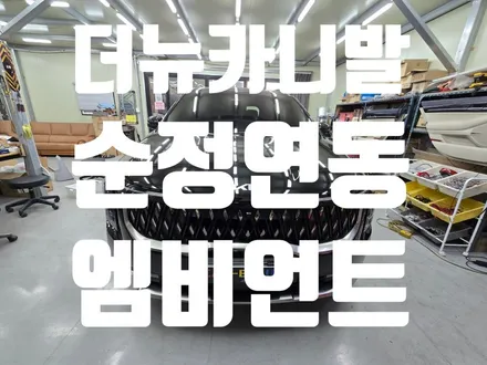 더뉴카니발 KA4 순정엠비언트 옵션이 있는 차량에 순정연동엠비언트 카뷰티 / 대구 달서