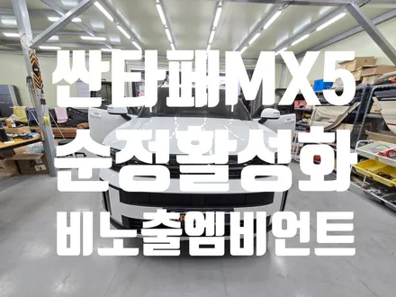 싼타페 MX5 순정엠비언트 옵션이 없는 차량에 순정활성화엠비언트 비노출가공시공 전문점 카뷰티 / 대구 달서