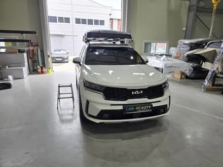 쏘렌토 MQ4 루프탑텐트 대구 차박 텐트 열심히 시공하는 휴고 대구 경북 울산 총판 카뷰티 / 대구, 구미