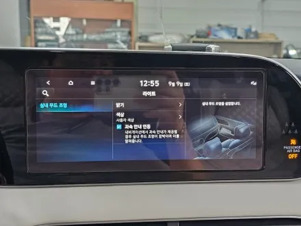 [대구 엠비언트]펠리세이드 엠비언트라이트 순정연동 순정활성화 DMX 엠비언트무드등 남부지사 카뷰티 / 대구, 구미