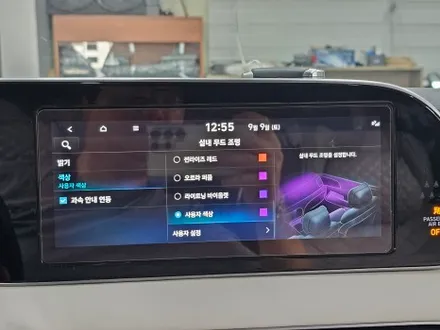 [대구 엠비언트]펠리세이드 엠비언트라이트 순정연동 순정활성화 DMX 엠비언트무드등 남부지사 카뷰티 / 대구, 구미