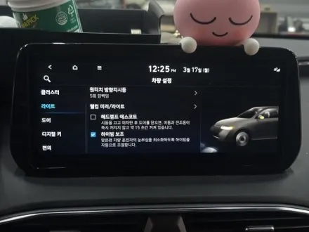 싼타페 TM  순정활성화엠비언트 순정연동엠비언트 대구 엠비언트시공 잘하는 카뷰티 / 대구 달서