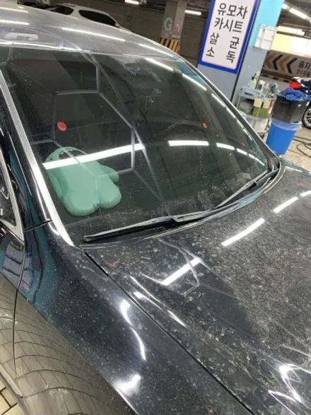 걸포동 손세차 뉴에쿠스 컨디션 관리, 노장이 죽지 않으려면 체계적인 관리 필수 / 경기 김포
