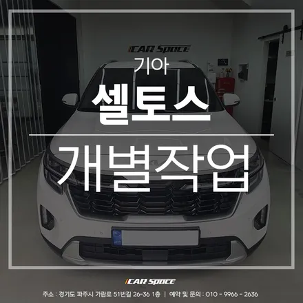 셀토스, 필요한 작업만 뽑아 파주 신차패키지 전문점에서~ / 파주시 와동동