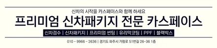 아반떼, 티나인 R100 시공 모습! 카스페이스 파주 신차패키지 전문 / 파주시 와동동