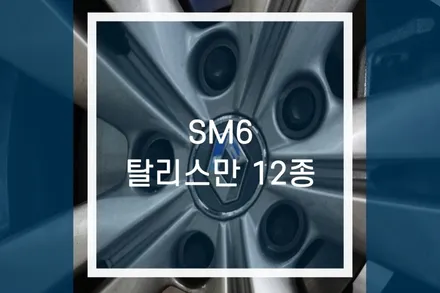 SM6 원형 엠블럼 / 탈리스만 르노룩 12종 드레스업 튜닝 / 용인,동탄,수원,광교
