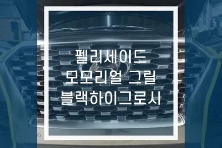 팰리세이드, 펠리세이드 모모리얼 그릴 튜닝, 현대 엠블럼 삭제 / 용인,동탄,수원,광교
