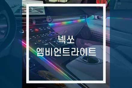 넥쏘 엠비언트 LED 라이트 실내 무드등 조명 연출 / 용인,동탄,수원,광교