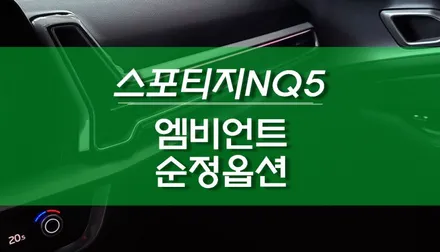 신형 스포티지 NQ5 순정 엠비언트 라이트 튜닝 / 용인,동탄,수원,광교