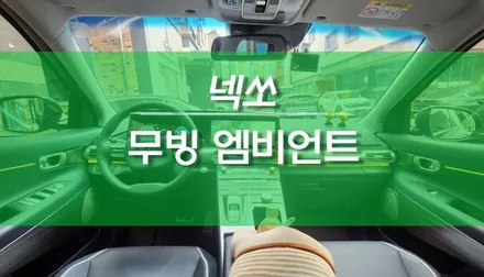 넥쏘 자동차 무빙 엠비언트 라이트 무드등 비노출 작업 / 용인,동탄,수원,광교